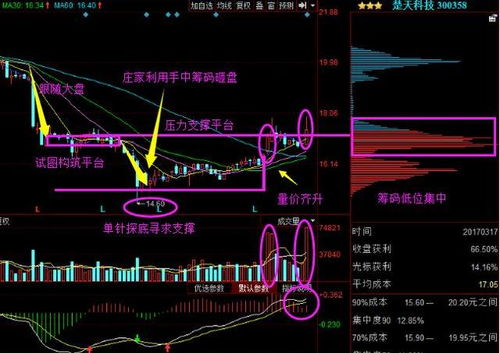 海量信息中，仍有逾700只股票飘红！股价突破7000亿，4连板热门股午后跳水