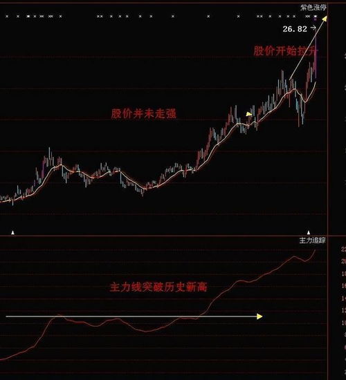 海量信息中，仍有逾700只股票飘红！股价突破7000亿，4连板热门股午后跳水