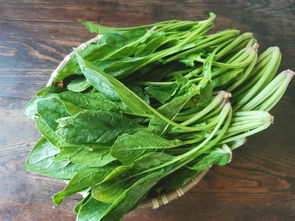 芒种时节，教你如何清补健康饮食：清爽解暑的瓜果蔬菜推荐