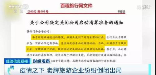 震惊！AI龙头企业即将公布业绩，业界将刮起怎样的新风潮？