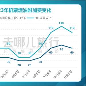 国内航线燃油附加费正式下调：端午机票降价幅度超去年