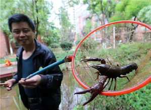 武汉花山梅园社区打造沉浸式钓虾活动，寓教于乐，培养孩子们的动手能力与团队协作精神