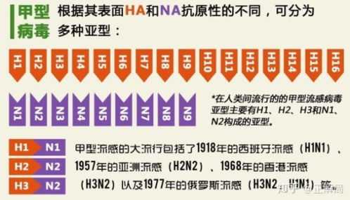 华兰生物、科兴制药联手冲击医疗市场，引发新一轮的价格战