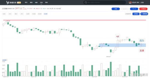 投资者不必过于担忧北向资金的实时信息披露，无需关注其脸色变化