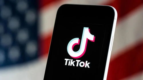 特朗普的新宠： TikTok 的激增让拜登粉丝量翻了 15 倍！