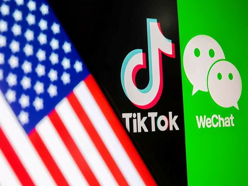 特朗普的新宠： TikTok 的激增让拜登粉丝量翻了 15 倍！