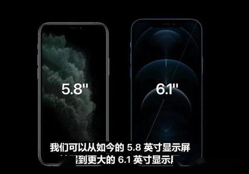 iPhone 12 屏幕全面解析：淘宝购物平台首见完整苹果皮特效展示