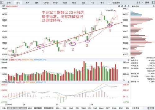 股票市场午后点评: A股三大指数集体下滑，科技、医药、有色等细分行业表现强劲，交通与旅游板块下跌}