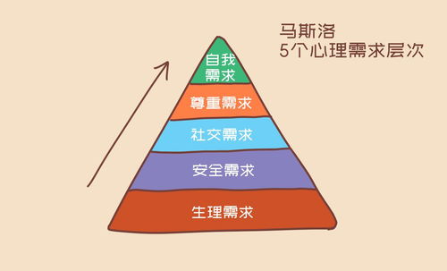 梦见帮助他人搬运东西的含义解析：解读背后深层次的心理解读