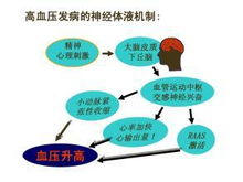 牢记糖尿病长期管理要点：了解这7个重大并发症的风险因素