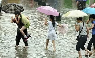 南方暴雨加重 高考雨情需特别关注

请提供更多信息，以便我可以更好地满足您的需求。