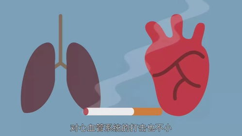 多伦多大学的研究揭示：长期吸烟者的死亡风险显著低于从未吸烟者