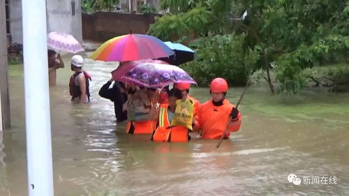 揭秘：龙舟水为何在特定时间雨量突然增多