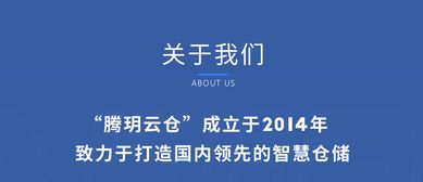 电商平台崛起，‘自动跟价’大举涌入商家市场，谁会先屈服？