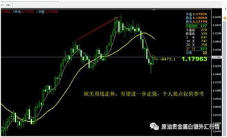 欧洲央行官员：预计在7月下不下调利率，未来决定还需观察