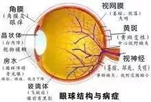 提高视力的小技巧：在出现眯眼、歪头情况时，别忽视这可能是近视的信号！