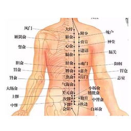 及时救治，准妈妈病情恶化 道路交通堵塞需紧急支援-湖北母亲病重急需返回武汉抢救