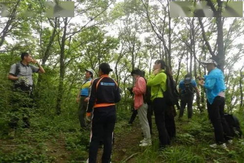 户外遇险，专业领队为你提供详细应对策略