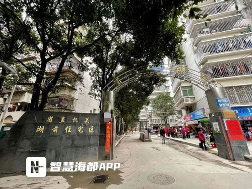 2024年福州主城区再启动大规模老旧小区改造：政府主导与民众参与共建美好家园