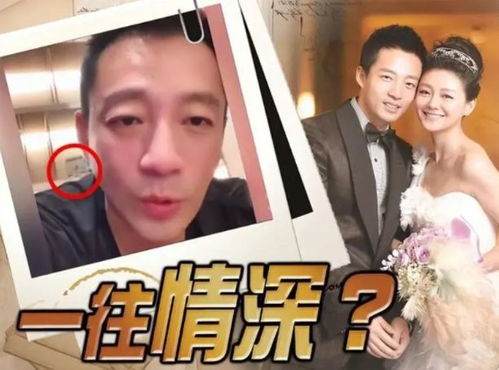 大S是否面临被台地检署指控浪费公共资源？台媒质疑其贪婪成性