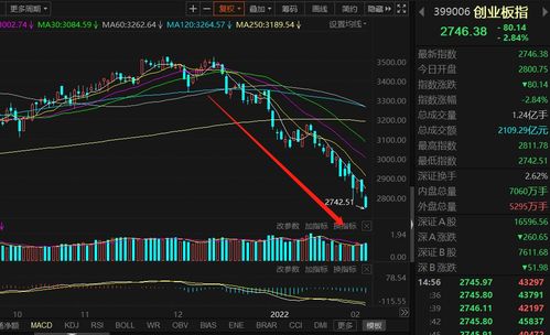 创业板指全天跌2.27%，宁德时代收盘暴跌近7%