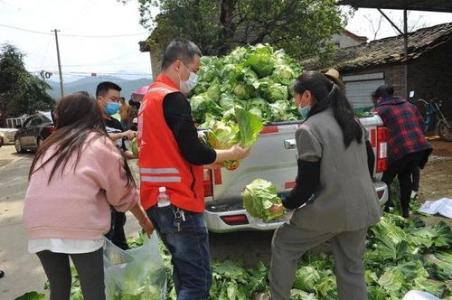 阿根廷政府将处理5000吨粮食滞销问题：米莱已被批管理不力