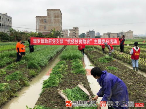 阿根廷政府将处理5000吨粮食滞销问题：米莱已被批管理不力