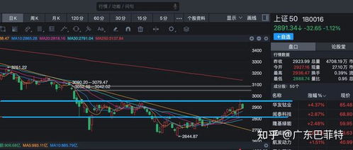 主板指数午后回调，预计板块轮动将带来市场机会