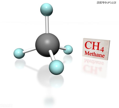 未来科技展望：硅基生物可能是否会取代碳基生物？