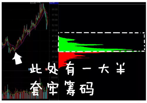 五大分路解析：最终的决赛阶段选谁上分稳稳？