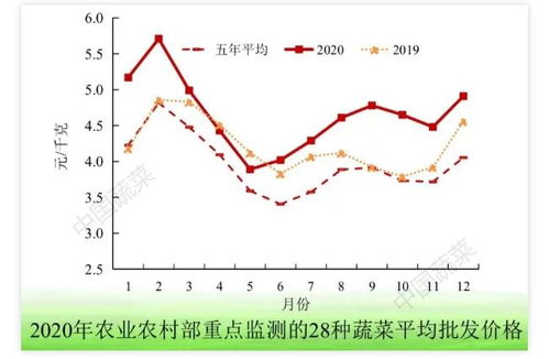 出口展望：未来形势如何变化?