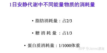 陈根：对减肥失败原因的深度剖析：忽视核心问题的影响