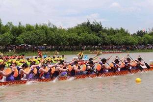 端午假期首日，广州海珠湿地公园举办盛大的龙舟比赛，吸引众多市民带着孩子前来感受浓厚的民俗文化氛围。