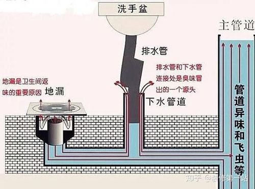 景区：新安装的计时器厕所是否让你能更快更从容地如厕呢？