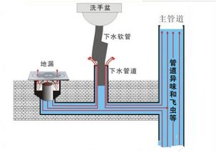 景区：新安装的计时器厕所是否让你能更快更从容地如厕呢？