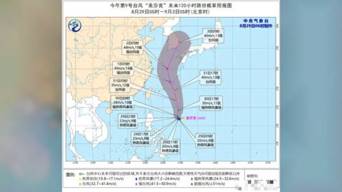 揭秘：九个台风的新名称是如何产生的？