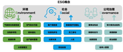 绿色供应链革新：引领ESG潮流，而非盲目跟风