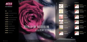 网页的魔力：运用《玫瑰的故事》解读四名网红的魅力