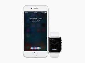 提前洞察苹果WWDC，AI成新主角，Siri大升级：全方位解析即将发布的产品亮点