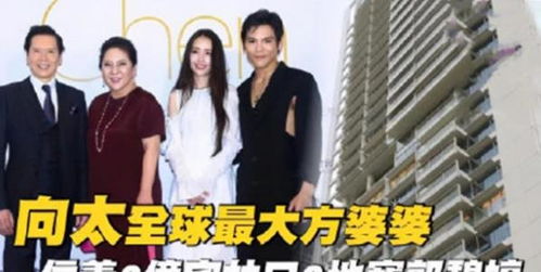 实控人妻子离世、两女儿控制葵花药业：五年奋斗待新考验