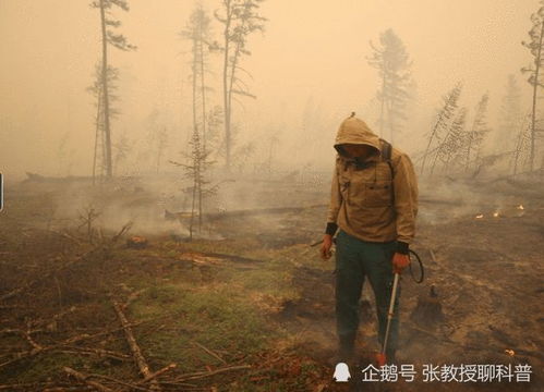 全球天气模式动荡：印度将面临严峻的高温考验，中国可能紧随其后吗？