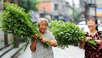 新中式艾草门挂，端午‘新晋网红’，年轻人群体青睐的夏日装饰物