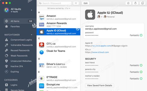 苹果推出全新密码管理工具：打造更安全的在线身份保护