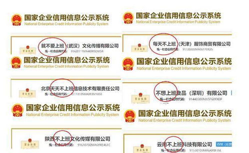 北京大华国际改名后，网友质疑新名称辨识度：是不是换个马甲就不认识了?