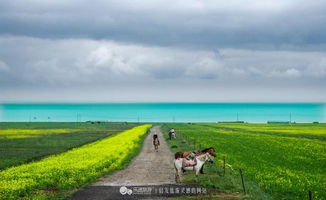 青藏高原探秘：探访湟鱼逆流而上的生命奇迹