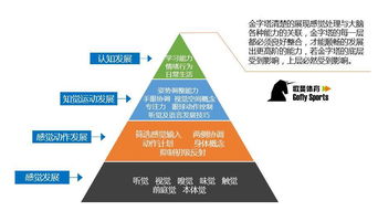 北京大学揭示：体育锻炼对中国老年认知功能的积极影响