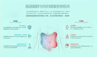 病因揭示：深入了解眩晕的治疗关键