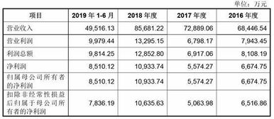 东亚药业2024年一季度营收同比下跌：原因及影响分析