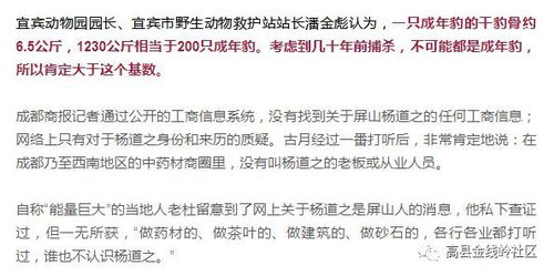 揭露真相：真相为何令人震惊？关于美国新增就业岗位数的假象误导了多少人