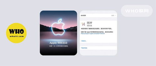 郭明錤：预见到iOS 18发布后，苹果将继续领先AI行业

```